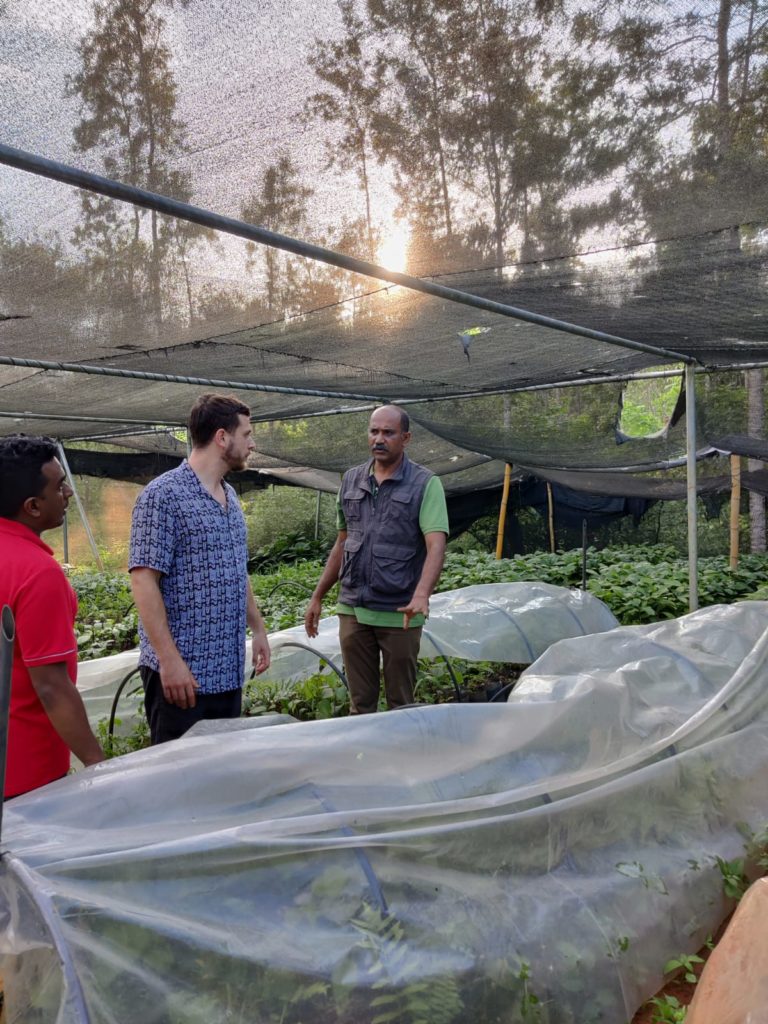 Visite de la plantation de poivre