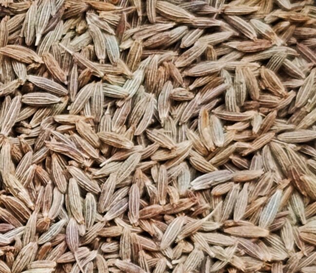 Graines de cumin