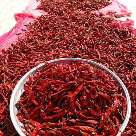 Piment rouge qui sèche