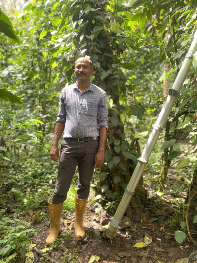 Punichan le producteur de poivre diamant