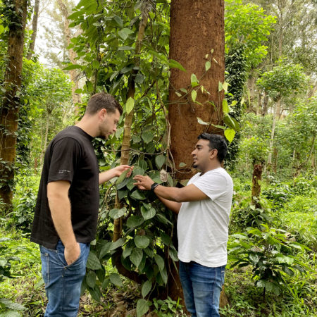 Shajin et Elie producteur de poivre
