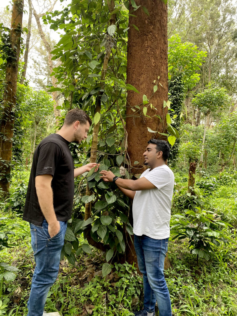 Shajin et Elie producteur de poivre