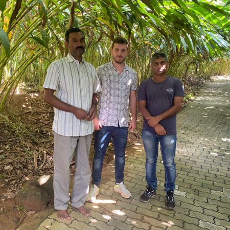 Producteurs de coriandre